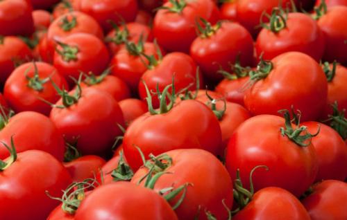 2019AM_tomatoes_1_755923678