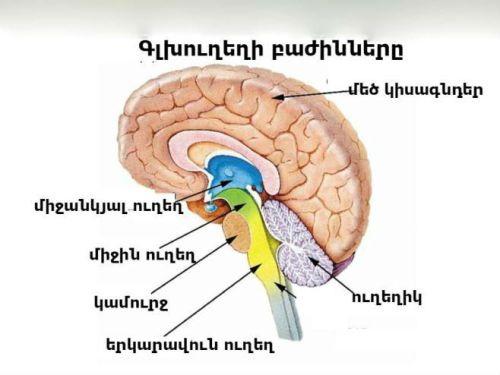 98d76701013f0f4ee6bd9b660eaba5fd