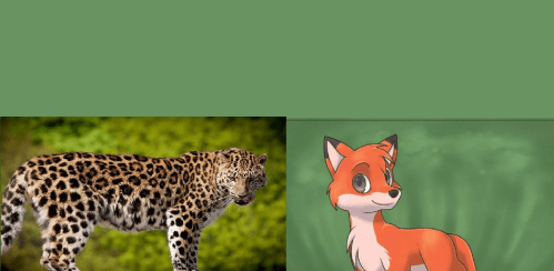 Աղվեսն ու հովաղը