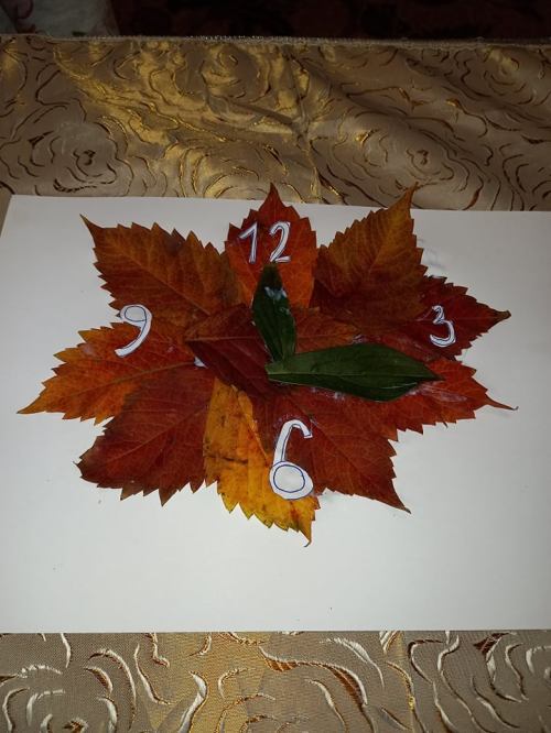 122007286_1789394237890634_1959622135318712604_n