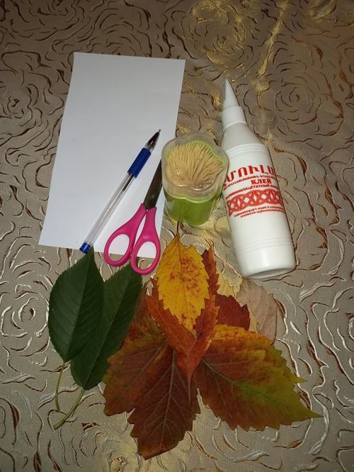 122103823_727529381175739_5023405962703943062_n