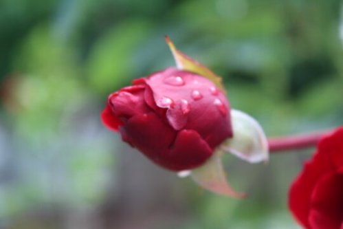 360_F_364554088_DRQwFL3PdHYPzBqEWqf3Q7zYZhvKXTsb