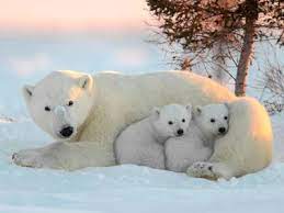 Без названия