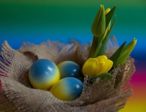 Screenshot_20230406_094226_Chrome